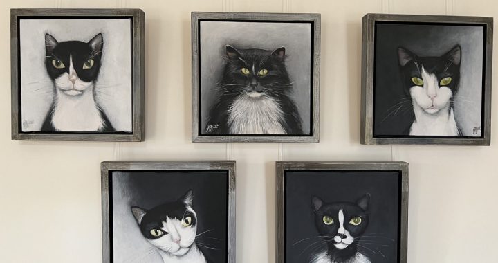 Jaunmoku pils izstāžu zālēs apskatāmi vairāk kā 290 kaķi