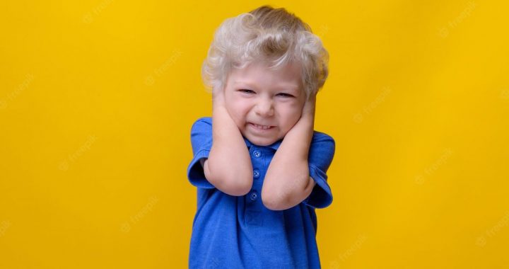 Nevalstiskās organizācijas aicina uz laiku atteikties no salūta un uguņošanas