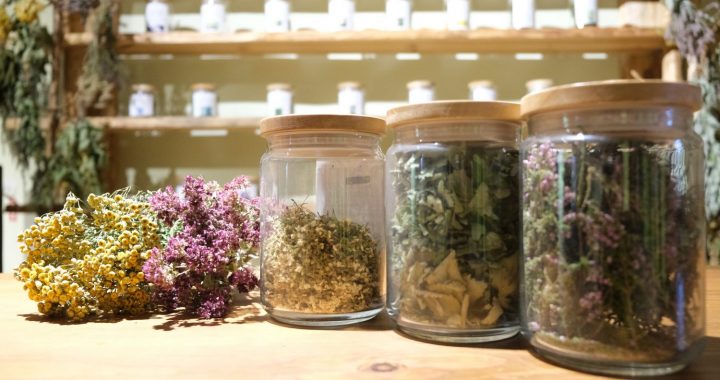 Aicina uz ģimenes dienas pasākumiem Jaunmoku pilī