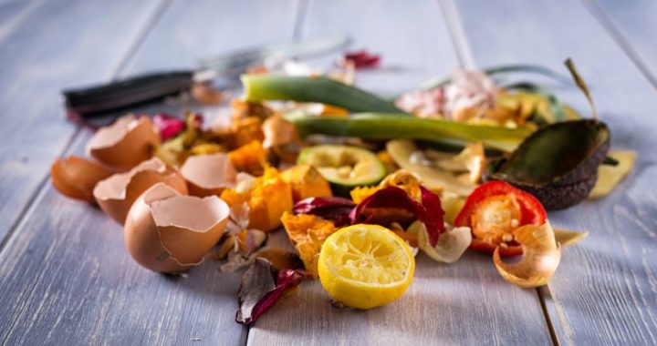 Valsts kontrole: pašlaik Latvijā ar kavēšanos veido nepārdomātu un dārgu bio atkritumu apsaimniekošanas sistēmu