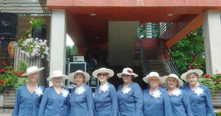 Tukuma novada senioru deju kolektīvi – festivālā Olainē/FOTO/