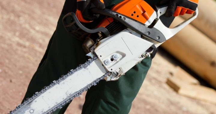 Viena vienīga kailcirte – Latvijas ainavas nenovēršamā nākotne?!