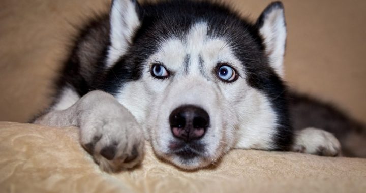 Kādi jauniešu projekti atbalstīti Tukumā?