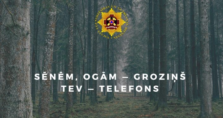 Pirms došanās mežā, atcerieties par drošību