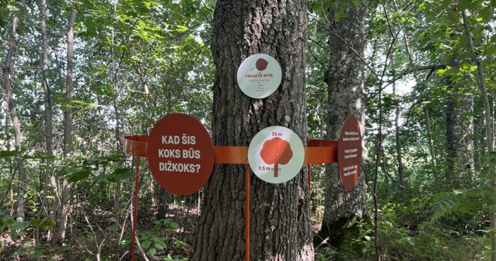 Pie Jaunmoku pils izveidota pastaigu taka