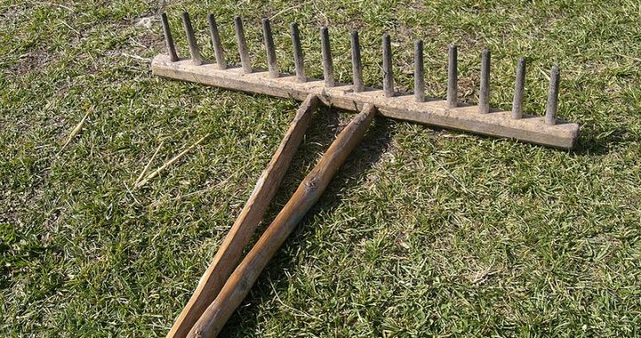 Būs siena talka Edvarda Virzas dzimtas mājā