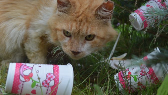 Vienreizlietojamais jāpadara ekoloģiskāks