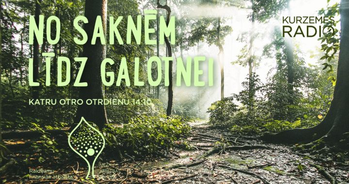 No saknēm līdz galotnei