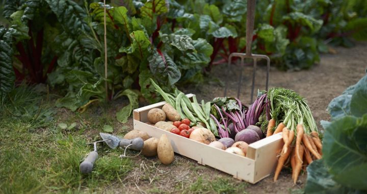 Kurš teica, ka būs viegli?