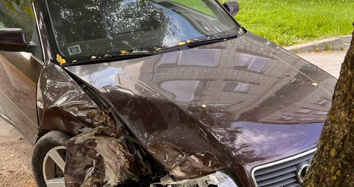 Nesavalda auto un ietriecas kokā