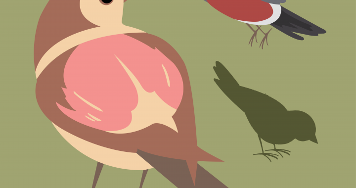 Jauno mācību gadu aicina atzīmēt Pasaku svētkos Džūkstē