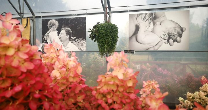 Stādaudzētavā «Celmu pasaule» atklāta sirsnīga fotoizstāde