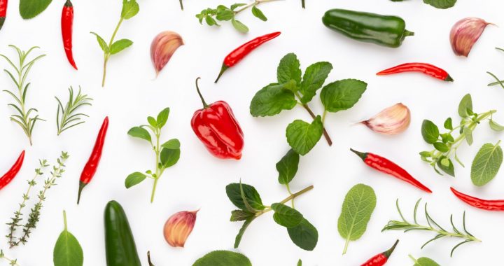 Garšaugu izstādes Dabas muzejā