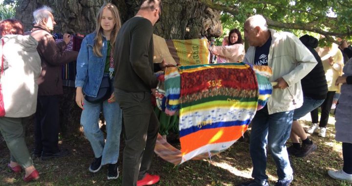 Cik reižu apkārt Kaives ozolam?/FOTO un VIDEO/