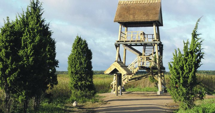 Turpinām sumināt  Miķeļus un skrienam takās. Nedēļas nogalē Tukuma pusē