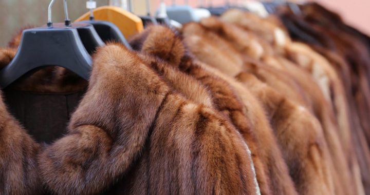 Lapmežciemā uzdarbojas zagļi!