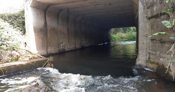 Pienācis laiks nojaukt aizsprostus upēs