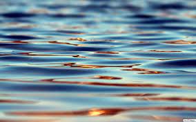 Smārdē noslīcis cilvēks