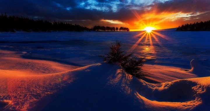 Šodien svinam Ziemas saulgriežus/video/