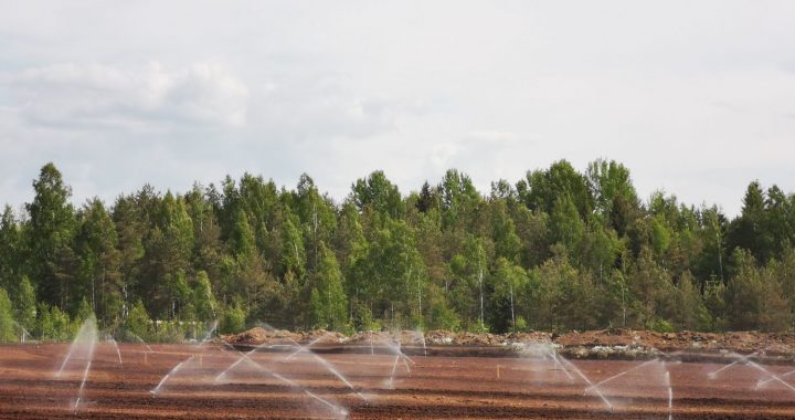 Dzērveņu purvi ne tikai ogām