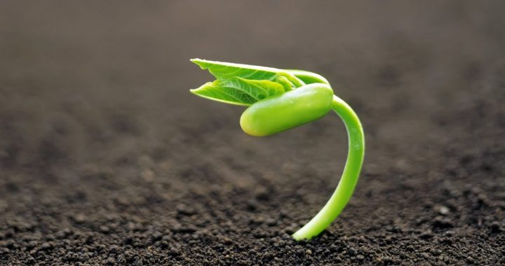 Pērn gan jaunreģistrēto, gan likvidēto uzņēmumu skaita kritums