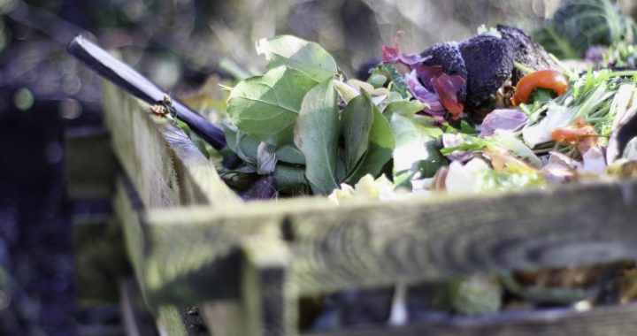 Gaidot uzsaukumu šķirot vēl rūpīgāk