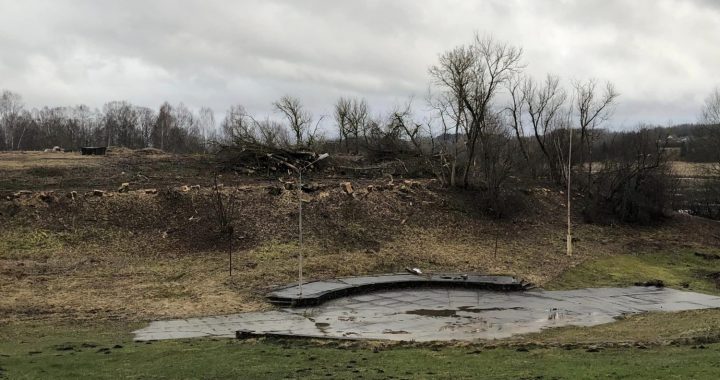 Kāpēc nocirta kokus pie estrādes?