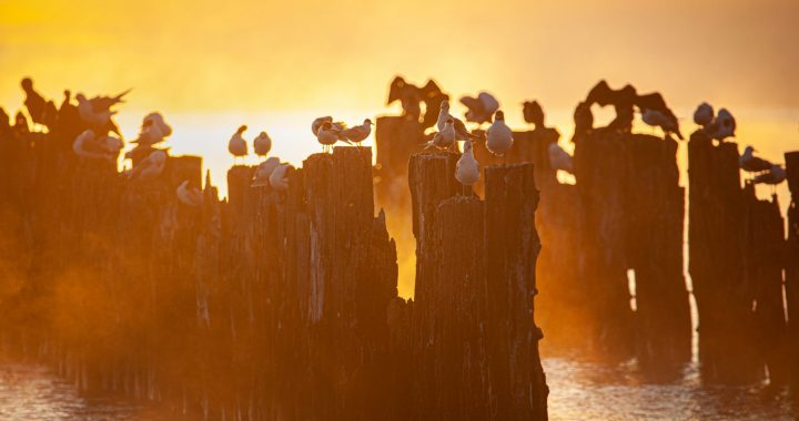 Jūrciemu iedzīvotāju biedrība radījusi pirmo audio gidu Lapmežciema pagastam