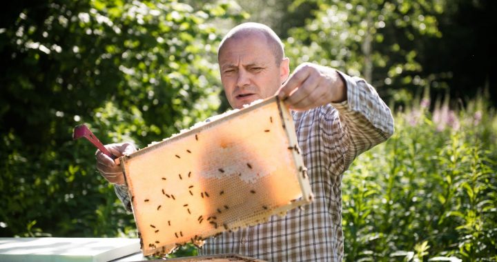 Noslēdzies pirmais uzsaukums dabisko pļavu apsaimniekotājiem – saņemti vairāk nekā 100 pieteikumi