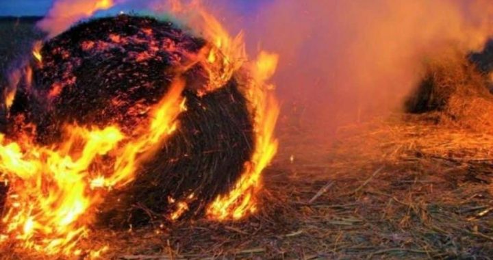 Brīvdienās deguši siena ruļļi un māja Smārdes pagastā