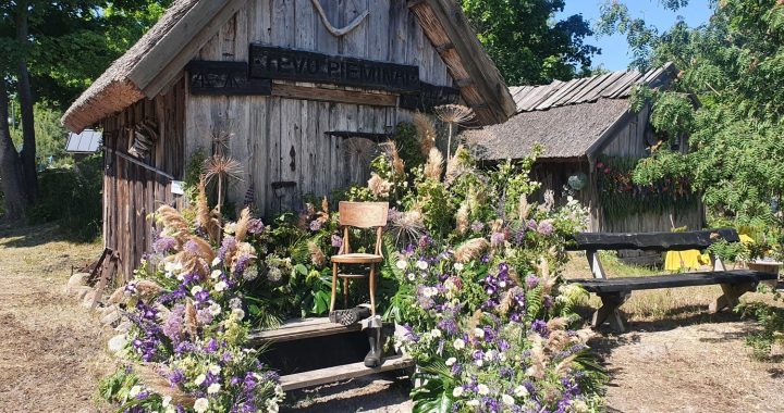 Ragaciema sedums rotājas/foto/