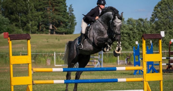 Aizvadītas sacensības «Lejniekos»