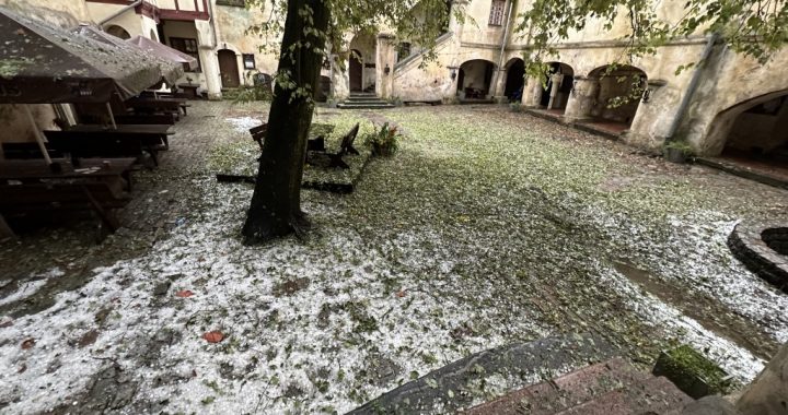 Aicina vērsties pašvaldībā pēc atbalsta vētras nodarīto zaudējumu seku likvidēšanai