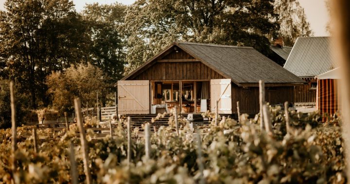 Iespēja ielūkoties bioloģiskajās saimniecībās. Ciemos gaidīs arī «Mazburkās»