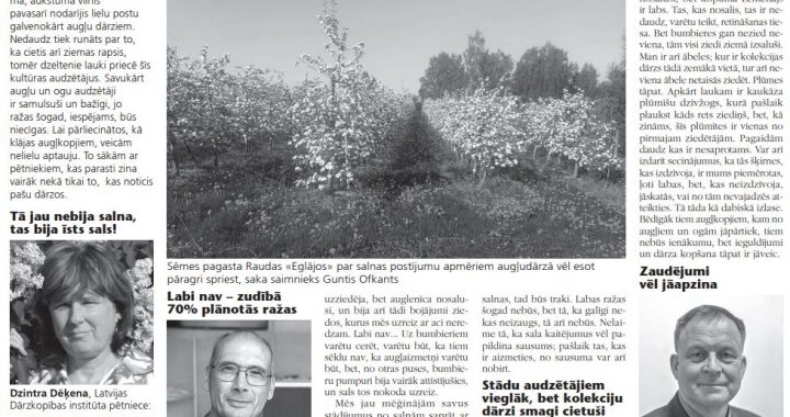 Tikai kādam varbūt mazliet paveicies…