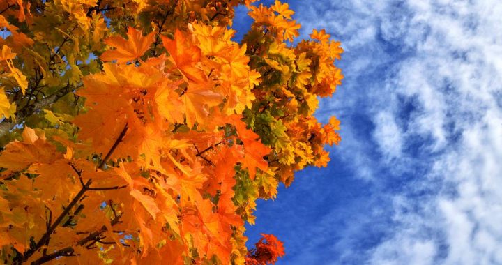 Kalendāriskas pārdomas