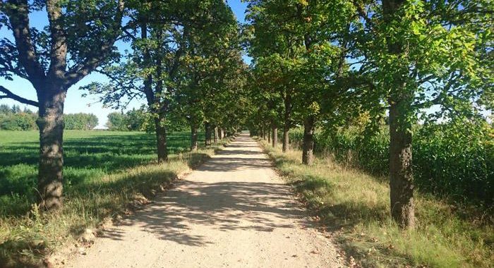 Sakoptas aizsargājamas aleja , tostarp Tukuma pusē