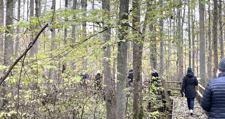 Baudi rudeni Tukuma puses dabas takās
