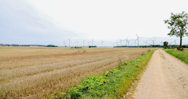 Vēja parks «Pienava»: iedzīvotāji ir daļa no nozīmīgām pārmaiņām