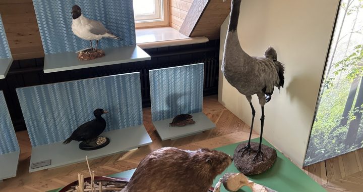 Jaunmoku pils muzejā – jaunieguvumi