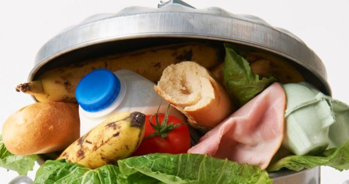 Sapulce iedzīvotājiem par bioloģisko atkritumu šķirošanu