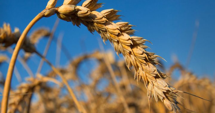  Kam un par ko maksājam asins naudu