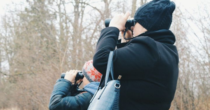 Ģimeņu diena Jaunmoku pilī – “Pils parka putnu ziemas stāsti”