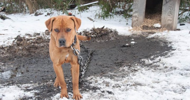 Par mazajiem brāļiem domājot
