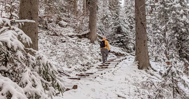 Dabas izziņa ziemā – interesanta, bet izaicinoša