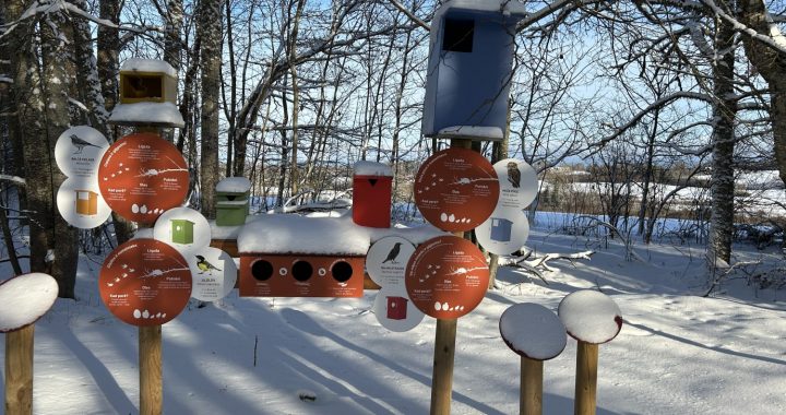 Jaunmoku pils piedāvā programmu “Pils parka putnu stāsti”