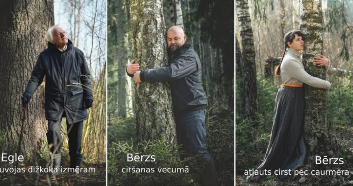 Aicina uz akciju “VAI 8 CENTIMETRIEM IR NOZĪME?” pie Satversmes tiesas/papildināts/