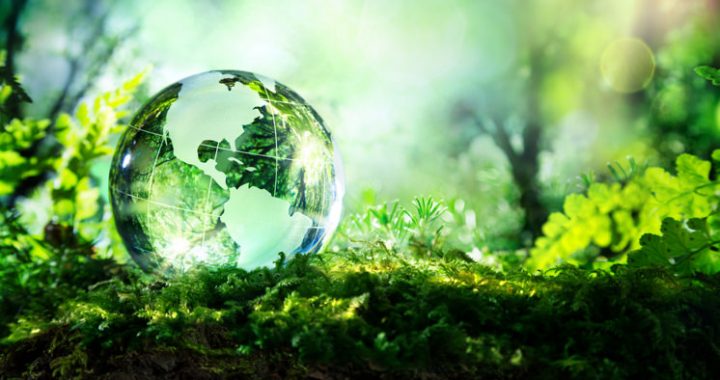 Atkāpšanās. Bet cik tālu?