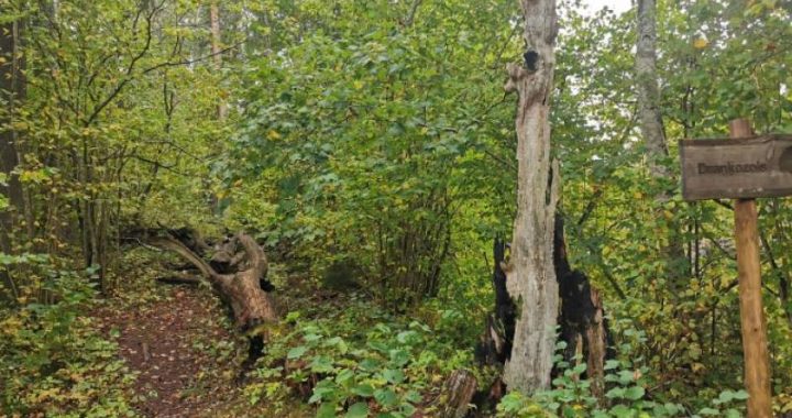 Raidījumā pētīs paranormālās aktivitātes Draņķozola tuvumā