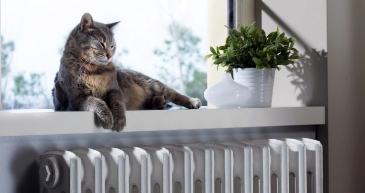 Būs jādomā par apkures pārņemšanu